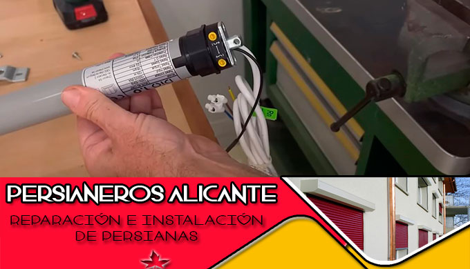 persianistas en Alicante